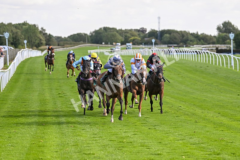 100924-Race 3-Laudable-0161 - Race 3