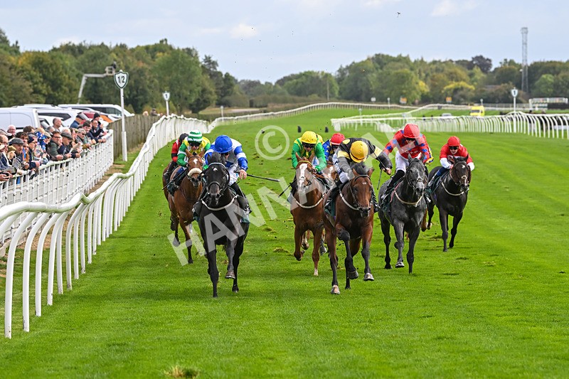 021024-Race 2-Al Hussar-9153 - Race 2