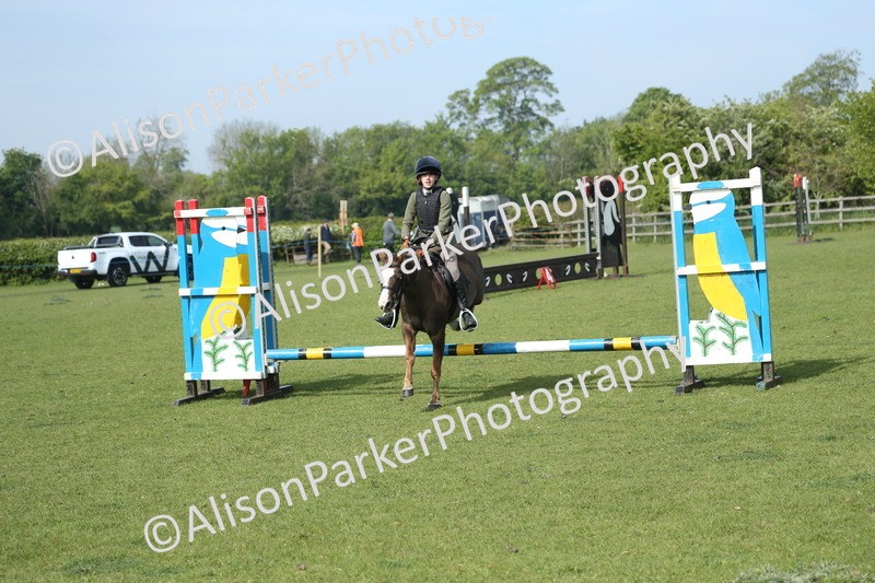 20260426-0224 - Class 13 - Rookie Jumping 50cm