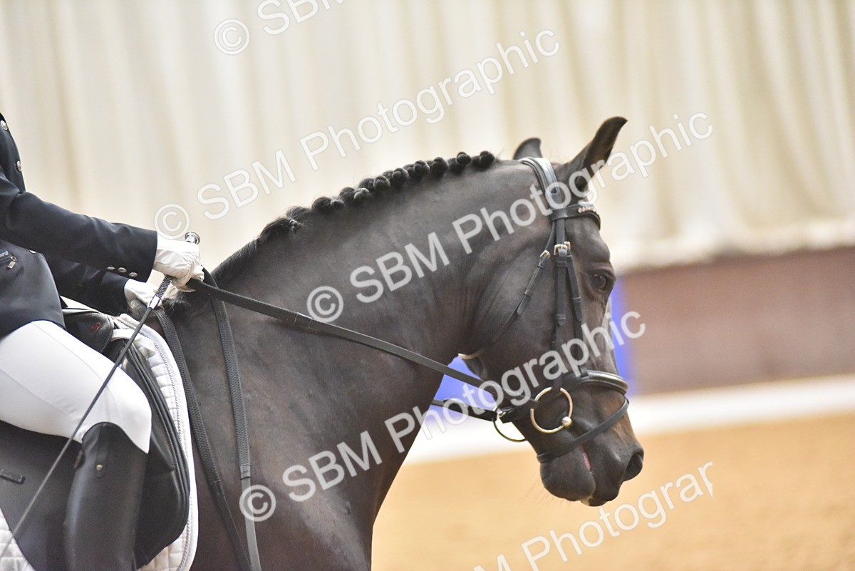 SBM_009582 - Class 11 - Elementary 5