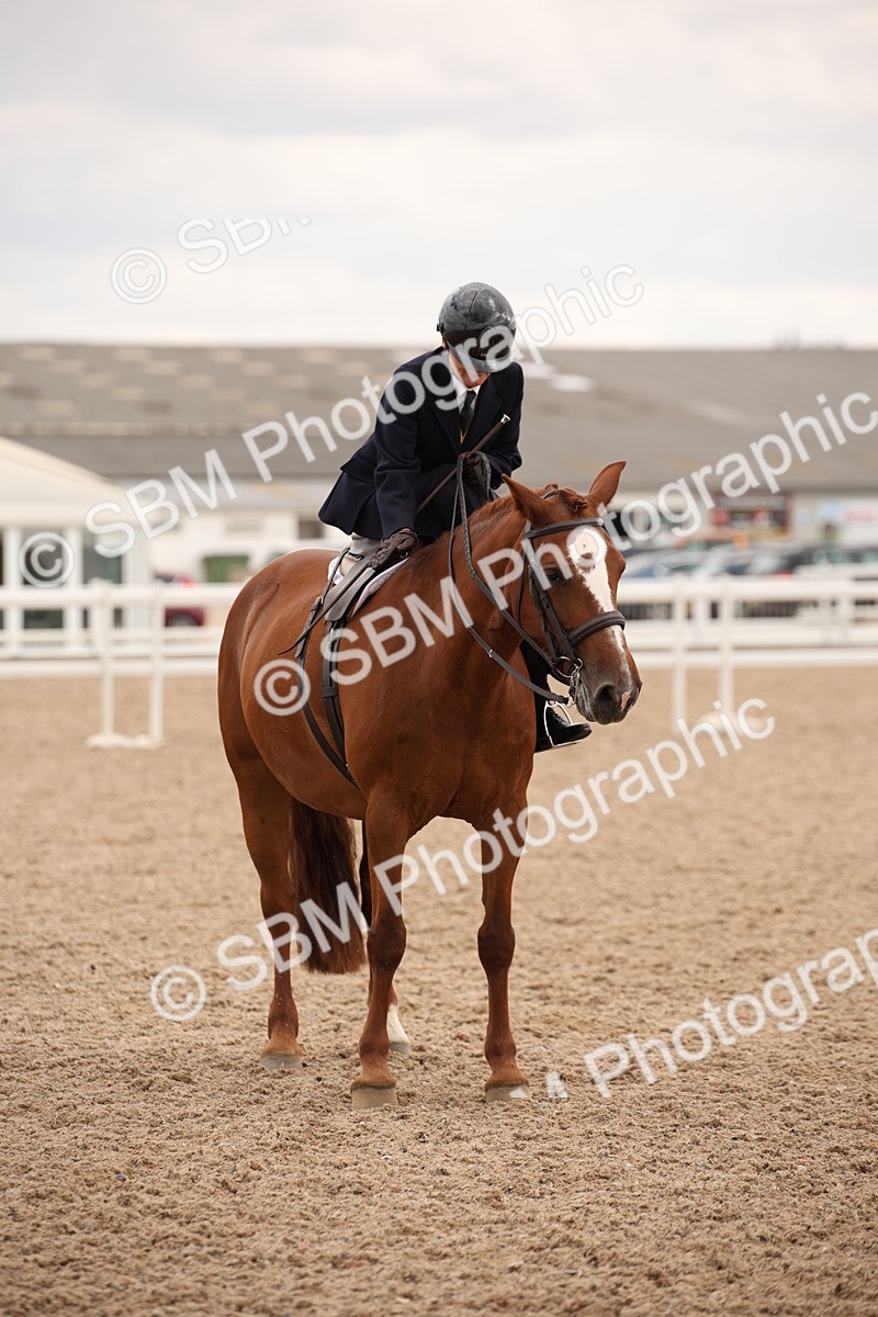 SBM_05479 - Class 22 SSA Equitation