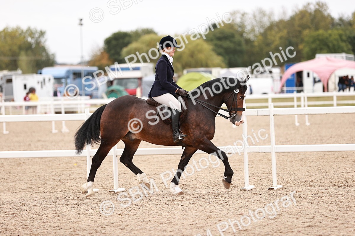 SBM_18947 - Class 422 - Ridden M&M