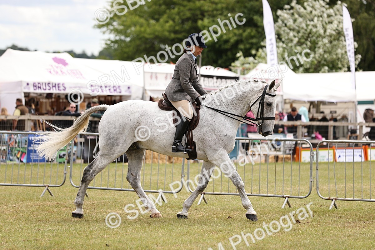 SBM_14650 - Class 88-89 - LIHS BSHA Rising Star of Ridden Hunter Type