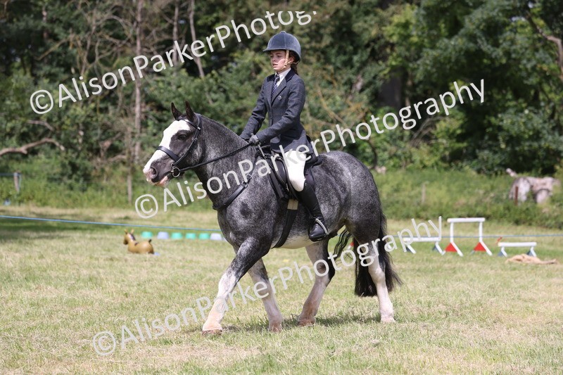 20260614-1973 - Class 21 - Novice Working Hunter Pony