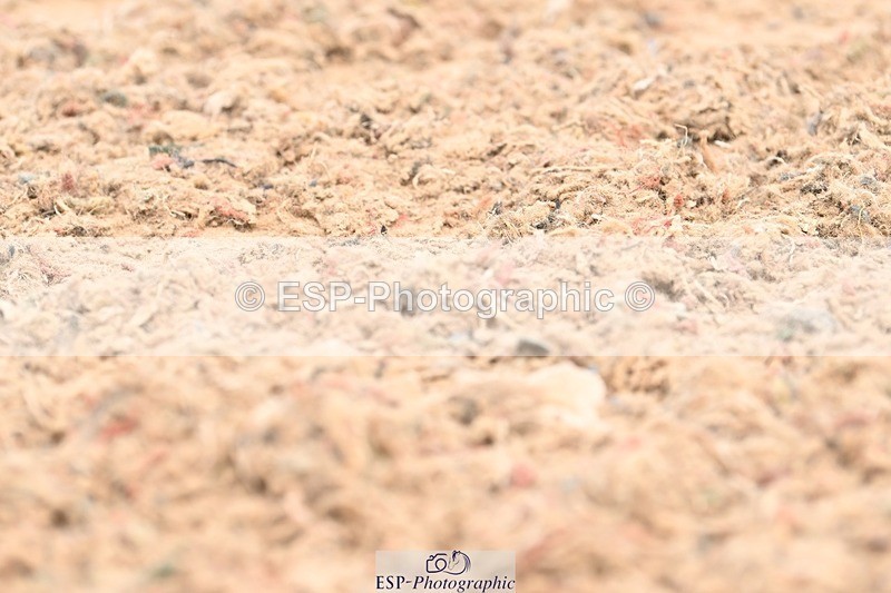 250620-115005-02004 - BD Cls 5 - Novice 6, Start to 12.10pm