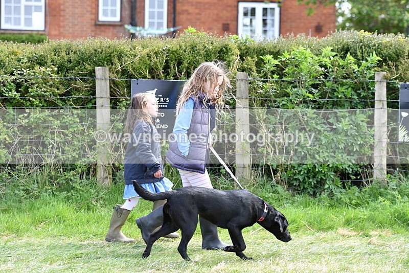 WJ5_0745 - Best in Show Championship
