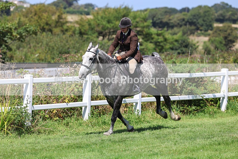 3E7A8990 - Class 6: Open Working Horse