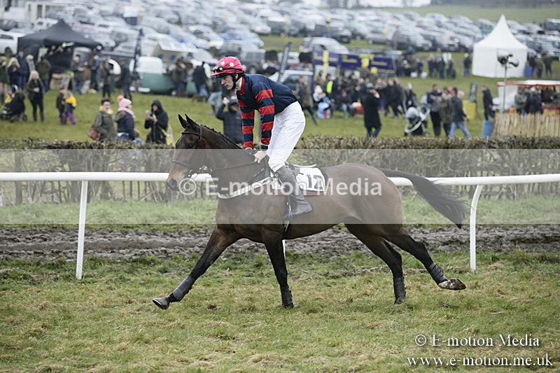PtP 020418 -86 - Old Berks Point-to-Point Races Easter Monday 02/04/18