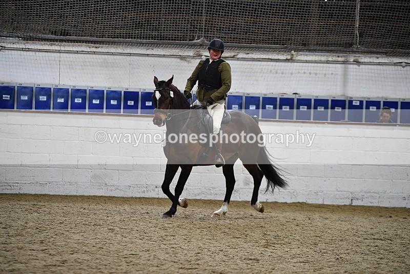WJ5_7950 - Class 13 Ridden Part Breed