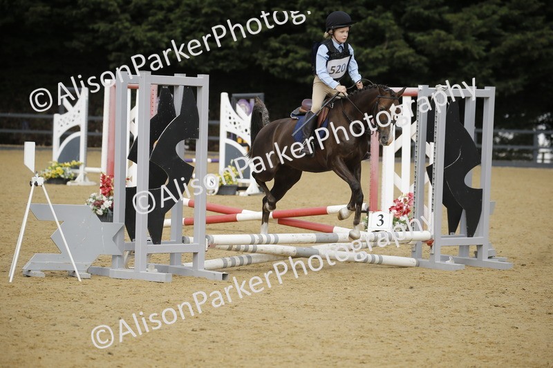 20250622-1419 - 40cm