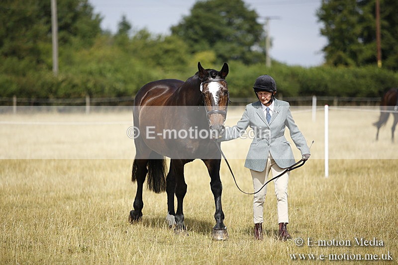 _C7A9325 - BVRC Sow 2018 Ring 2