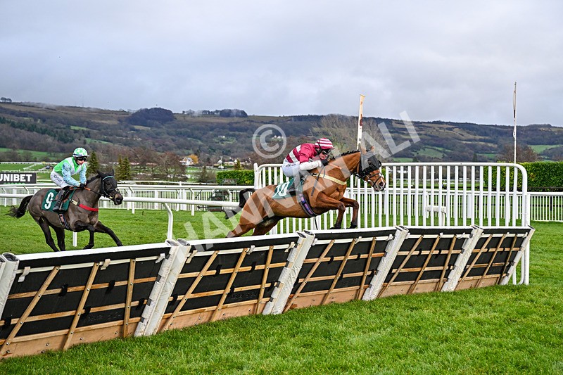 121225-Race 3-Moutarde-4993 - Race 3