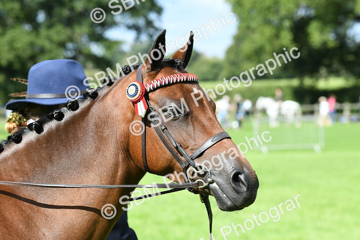 SBM_41236 - S19 - Lead Rein Show & Show Hunter Pony