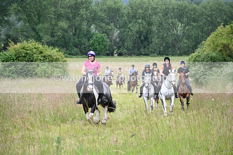 WJ6_8395 - Camera 1 Gallops