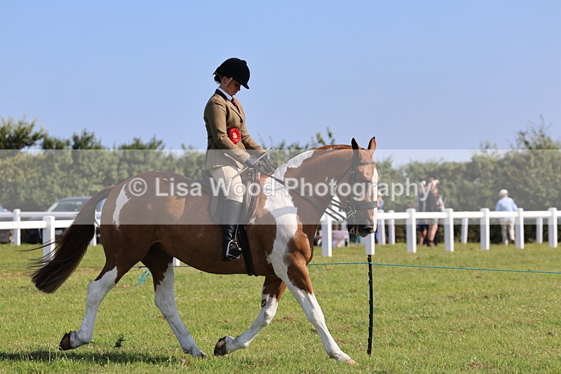 IMG_1621 - Skewbald and Piebald Ridden Championship