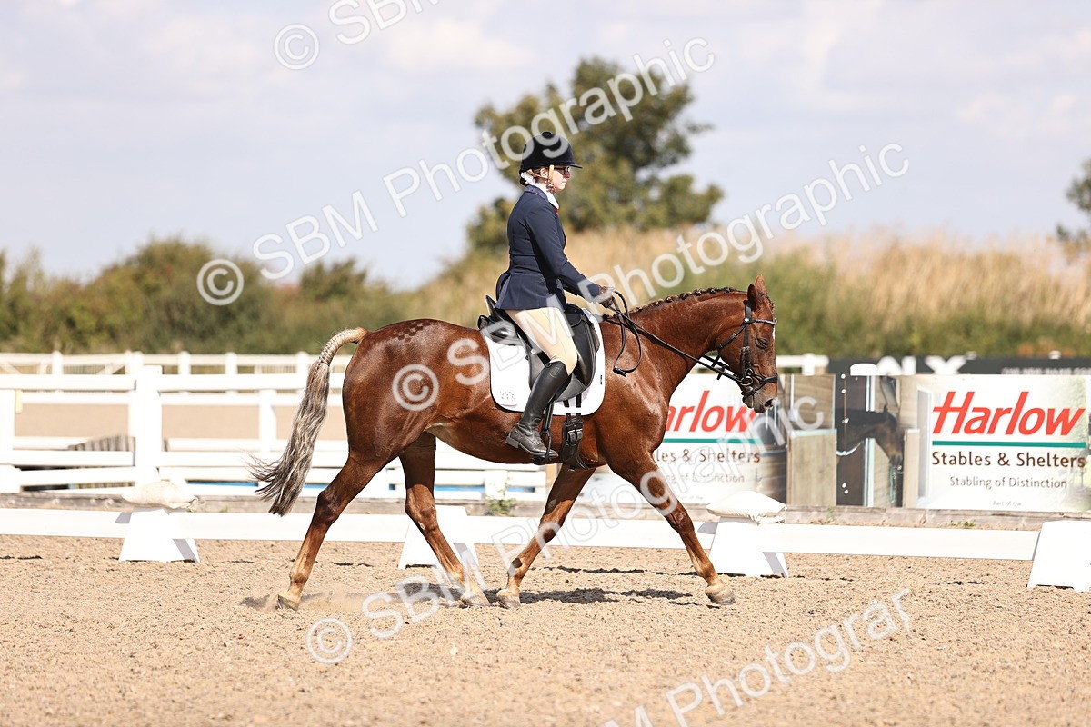 SBM_03567 - CLass 35 Intro 3