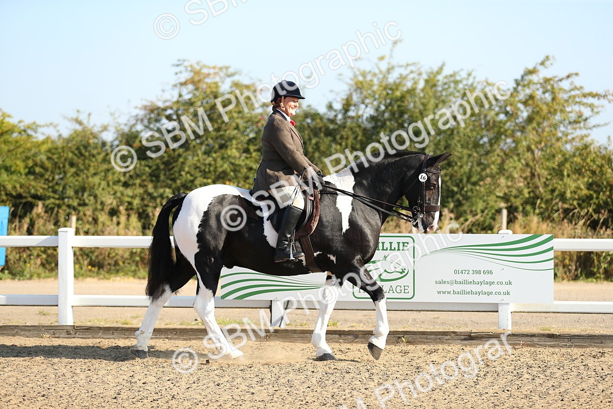 SBM_01100 - Class 42 Ridden Veteran