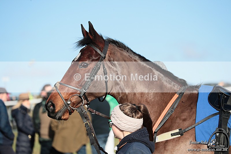 PtP 240126 225 - Cambridgeshire & Enfield Chase PtP Horseheath 24/01/26