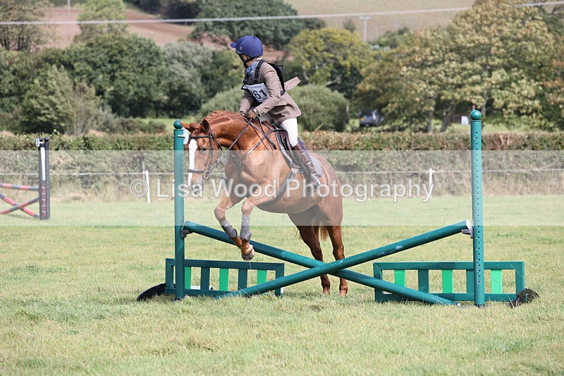JPP_8785 - Class 2: Trekenning: 80cm Showjumping