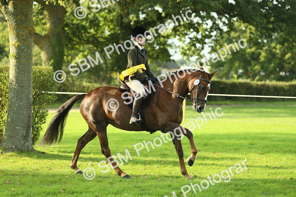 SBM_52277 - Working Hunter Supreme Championship