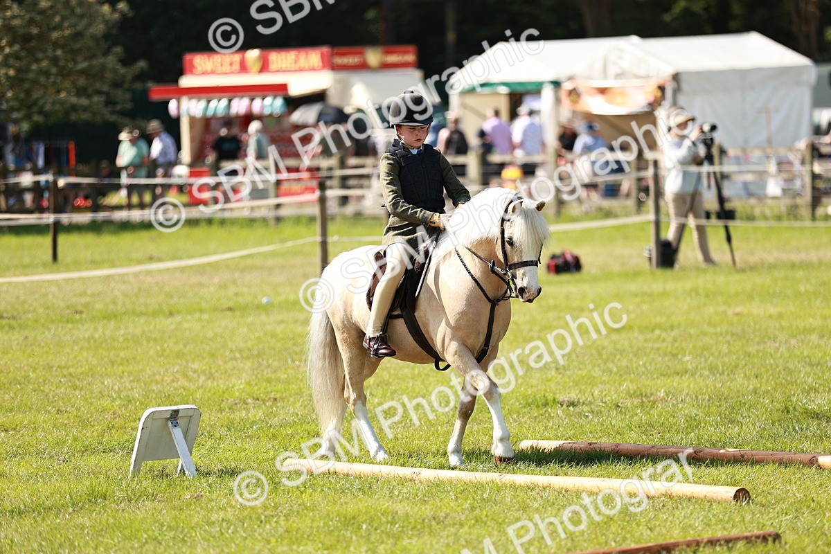 SBM_12662 - Class 106-107 - BSPS LIHS Working Sports Pony