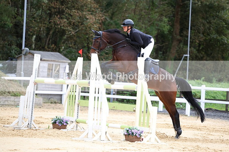 3E7A3398 - Class 9: Senior Foxhunter/1.20 open