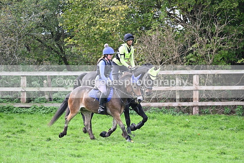 WJ7_8475 - Time 12:12 to 12:37