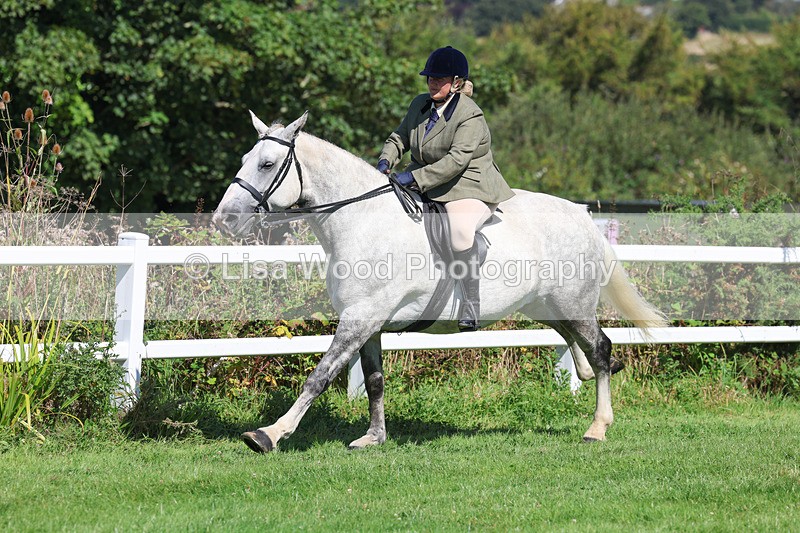 3E7A8419 - Class 4: Novice working Hunter