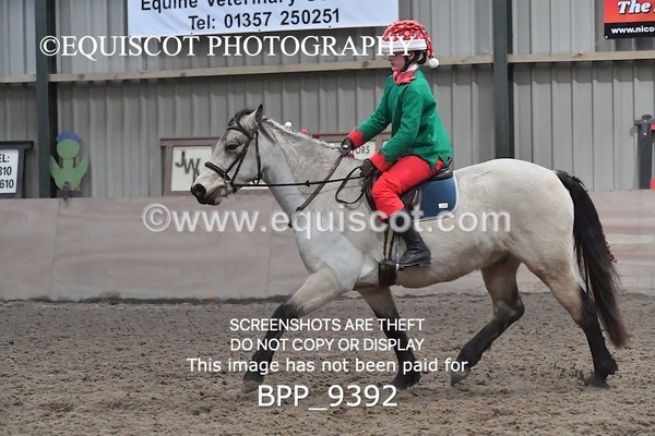BPP_9392 - CLASS 5 60CM Progressive Show Jumping