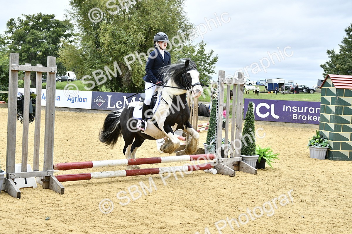SBM_67981 - J2b - Mini Tour Junior Pony 30cm championship