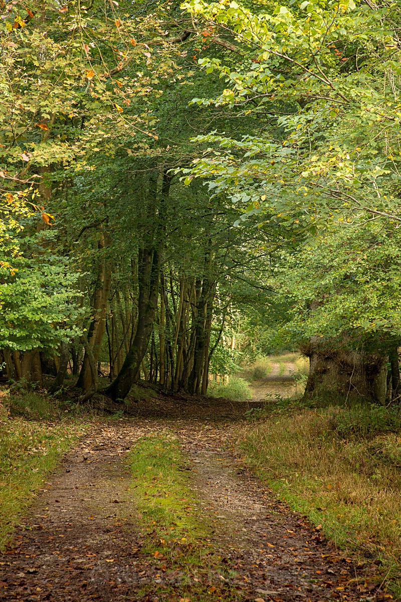  - Autumn