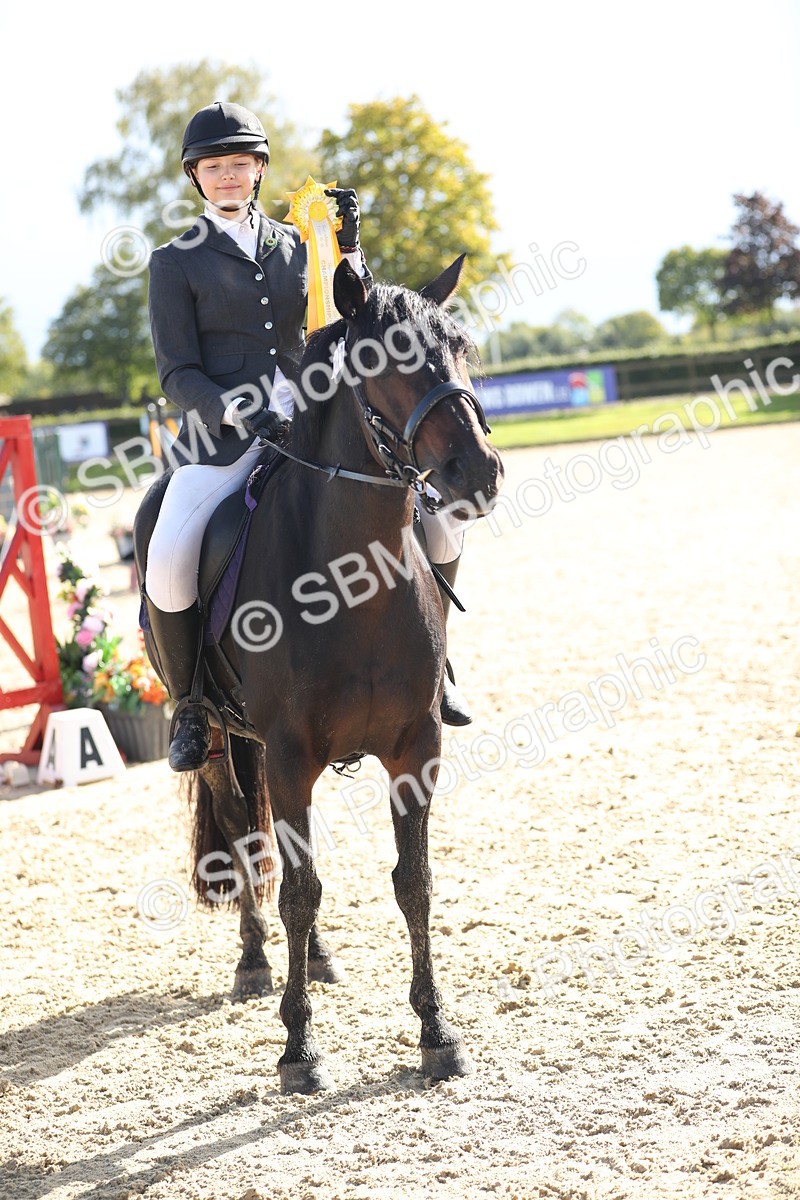SBM_37375 - J20 - Junior Horse 50cm Championship