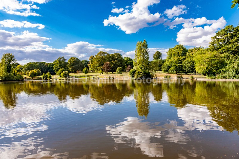 8SKJ8166 - Trees in Abington Park