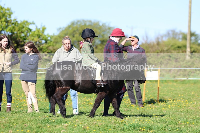 3E7A8914 - Class 2: Lead rein