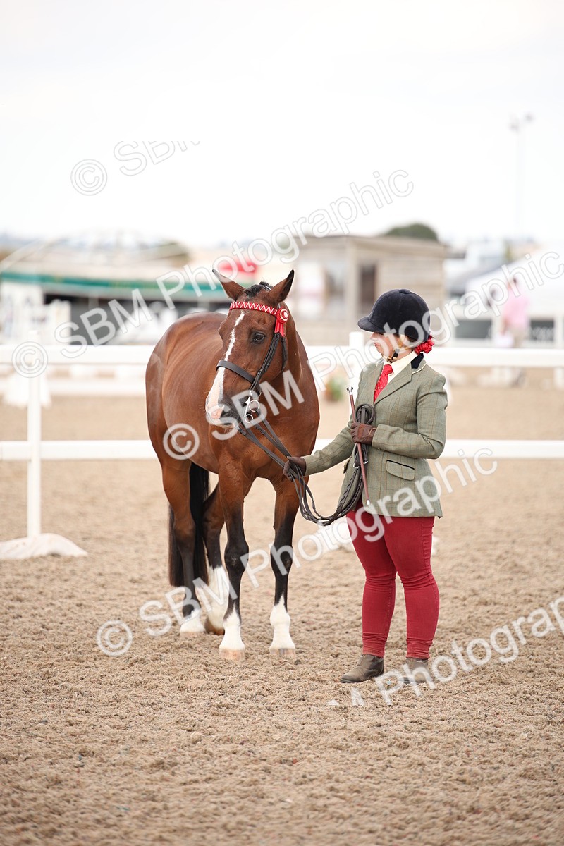 SBM_08252 - Class 27 - IH Competition Horse-Pony