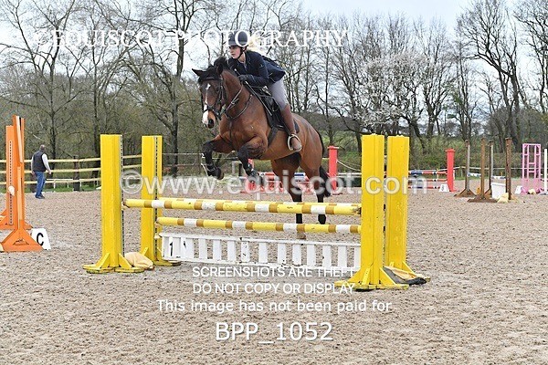 BPP_1052 - CLASS 2 Club/ Unaffiliated 80cms Open