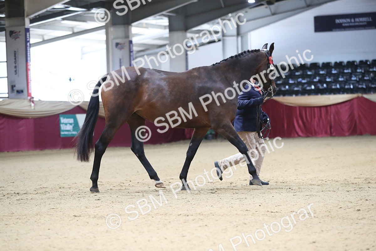 SBM_00228 - Class 1a - Area IH Diamond