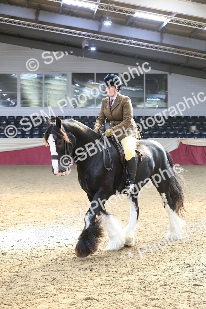 SBM_23806 - class 906 - Supreme Final - Ridden Pre Vet
