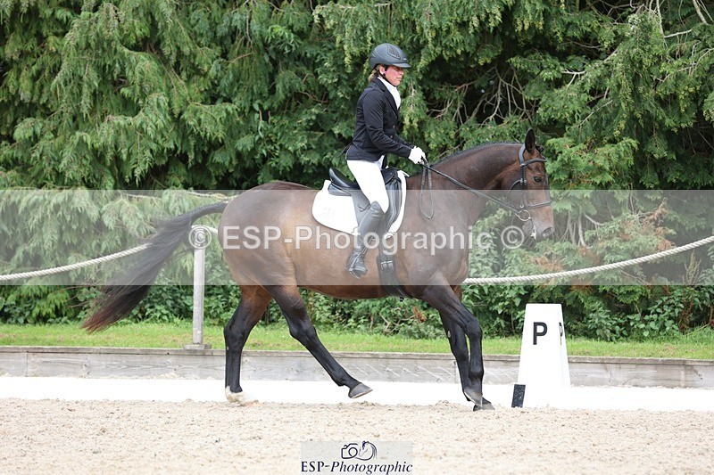 230812-153628-05168 - Cls 5 Novice Bronze 15.00 to End