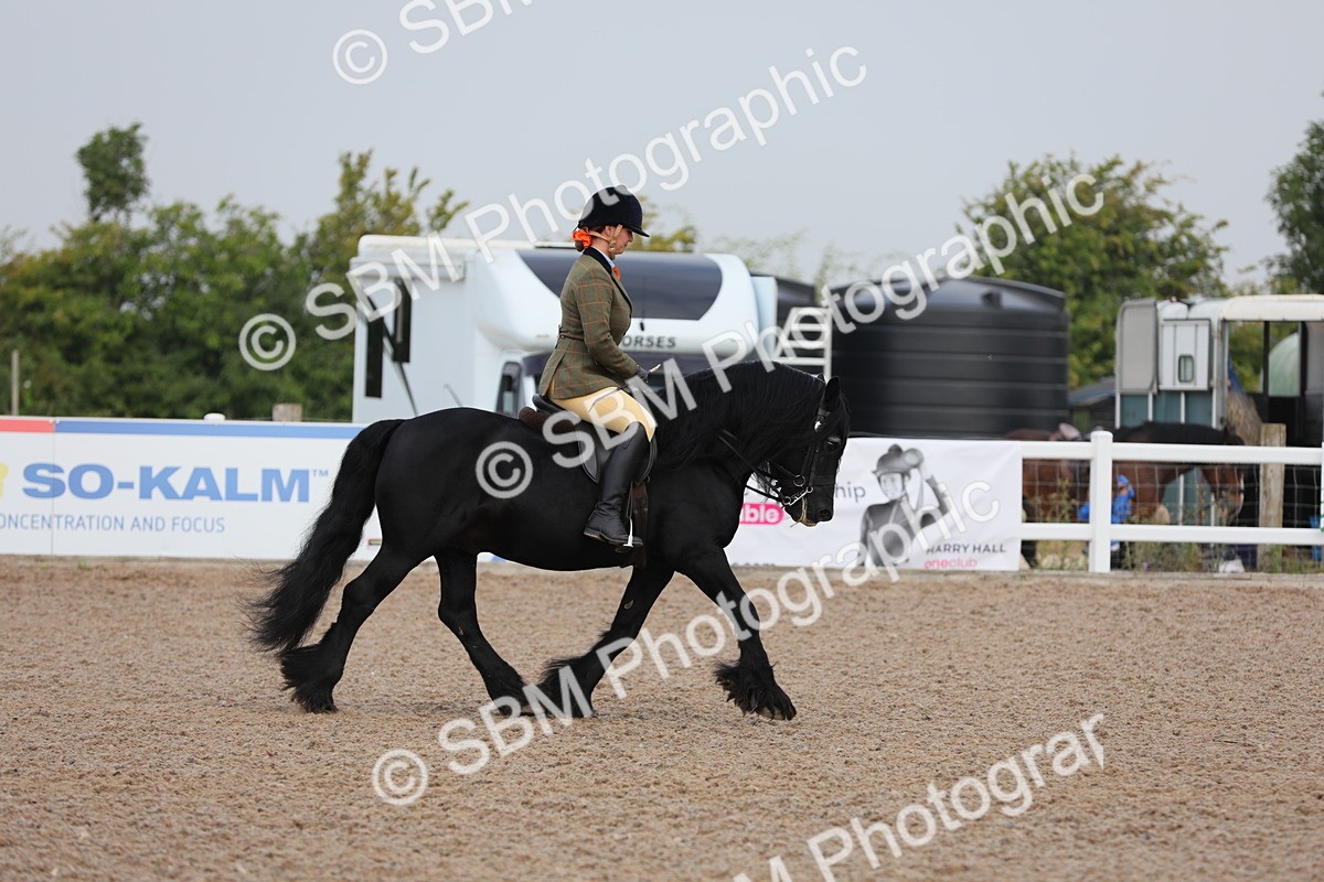 SBM_09988 - Class 302 Ridden M&M -Large Breeds