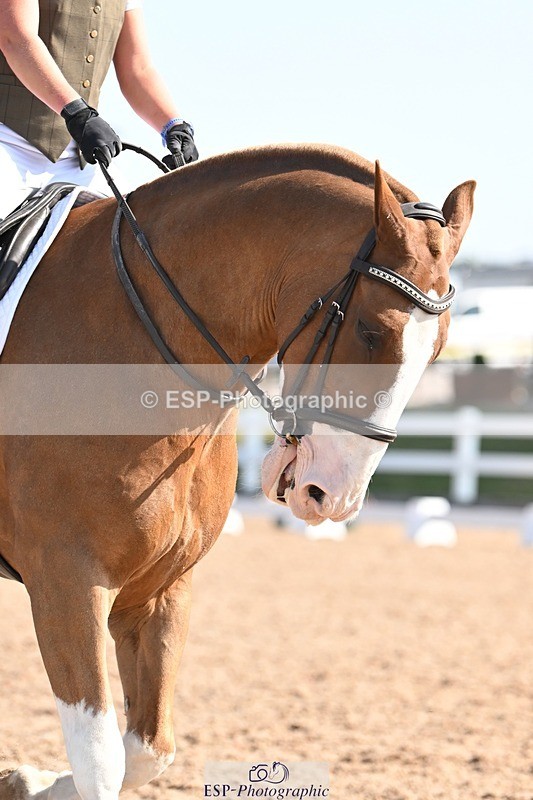 250816-101957-03349 - 048-Kirsty.ClackworthyStitch