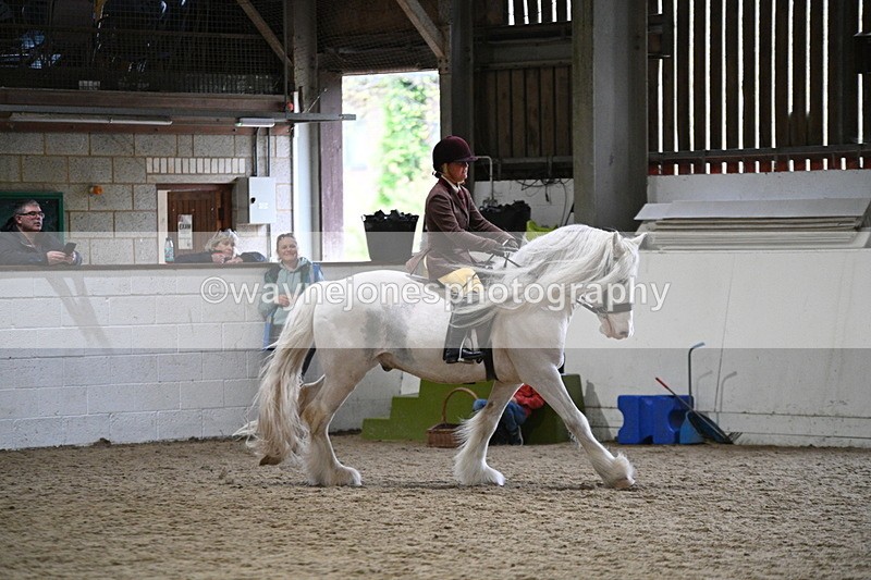 WJ7_3682 - Class 16 Ridden Coloured/ Odd Coloured