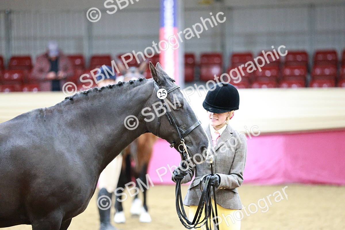 SBM_00222 - Class 1A - Area IH Diamond