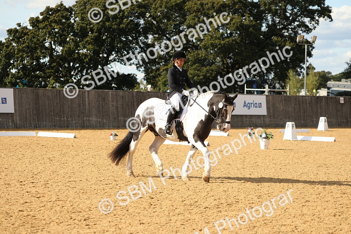 SBM_26691 - D17 - Grand Tour Championship - Novice 27