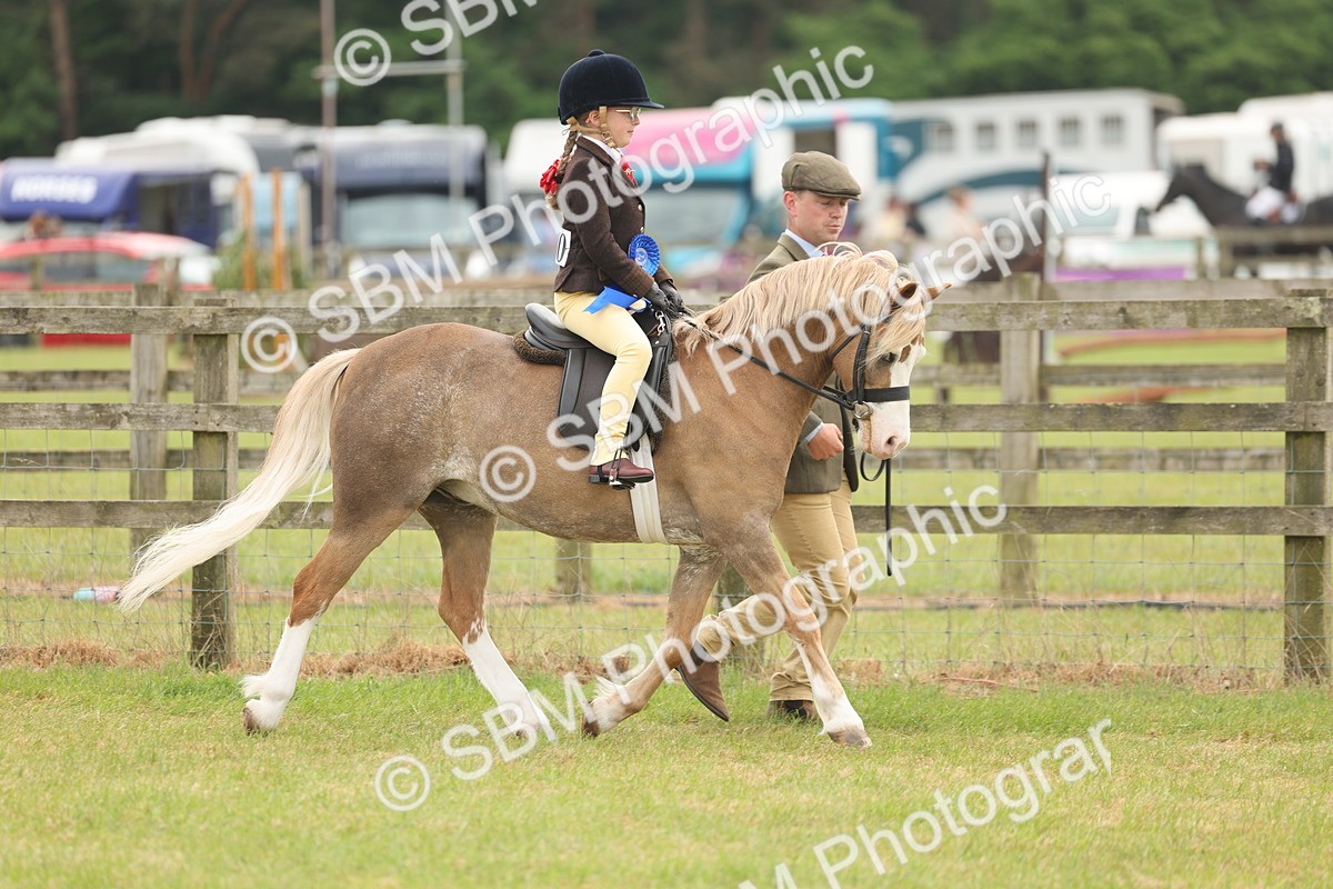SBM_06942 - Class 74-75 - M&M Lead Rein and First Ridden Pony