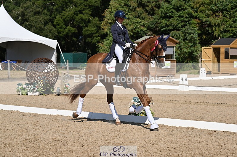 250810A-152903-08048 - Intermediate I GOLD Presentations