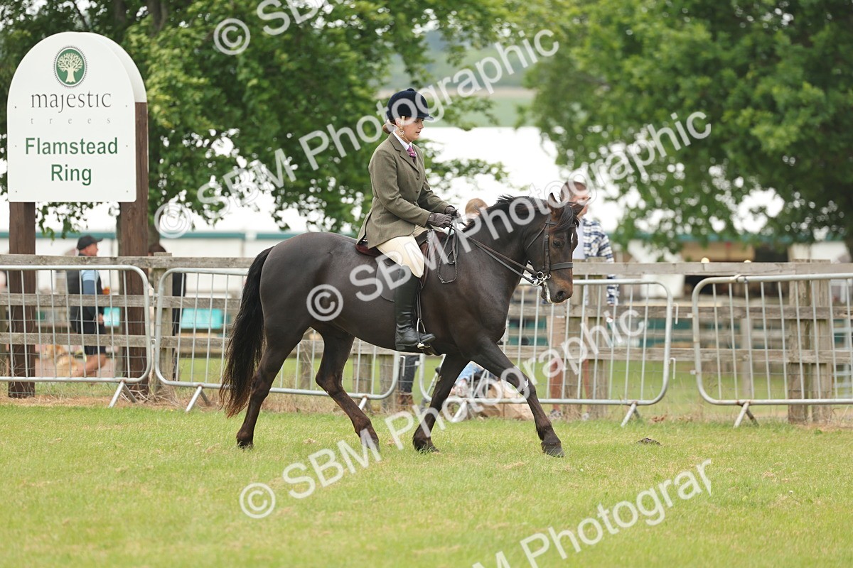 SBM_09089 - Class 78-80 - Ridden M&M Non Welsh Ponies