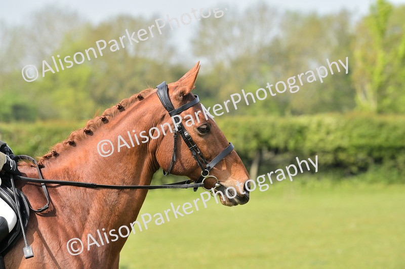 20260426-1142 - Class 19 - Retraining Of Racehorses