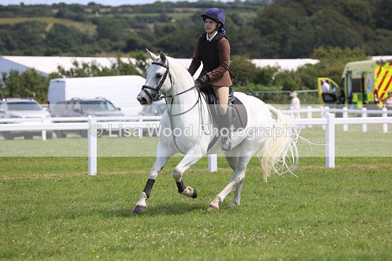 JPP_3613 - Class 23: Working Hunter 80cm