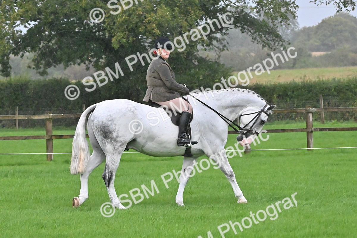 SBM_35630 - S16 - Top Turnout - Ridden
